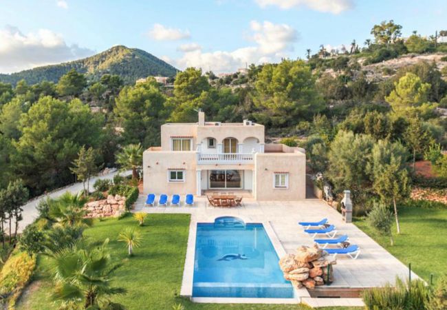 Villa/Dettached house in Ibiza - VILLA THE POND